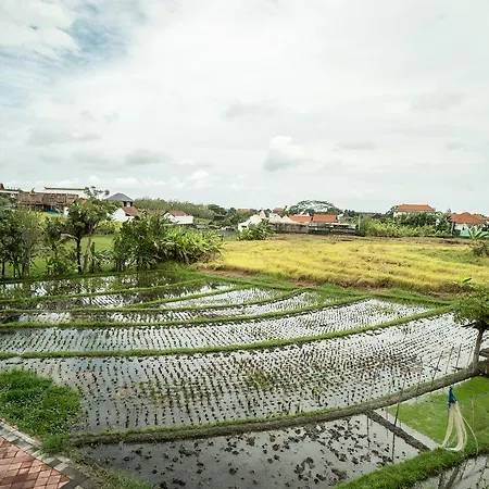 Canggu Beach Inn-2